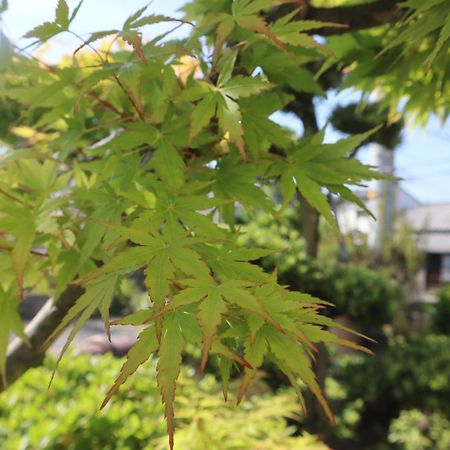 立花荘 Matsuyama (Ehime) Exterior foto