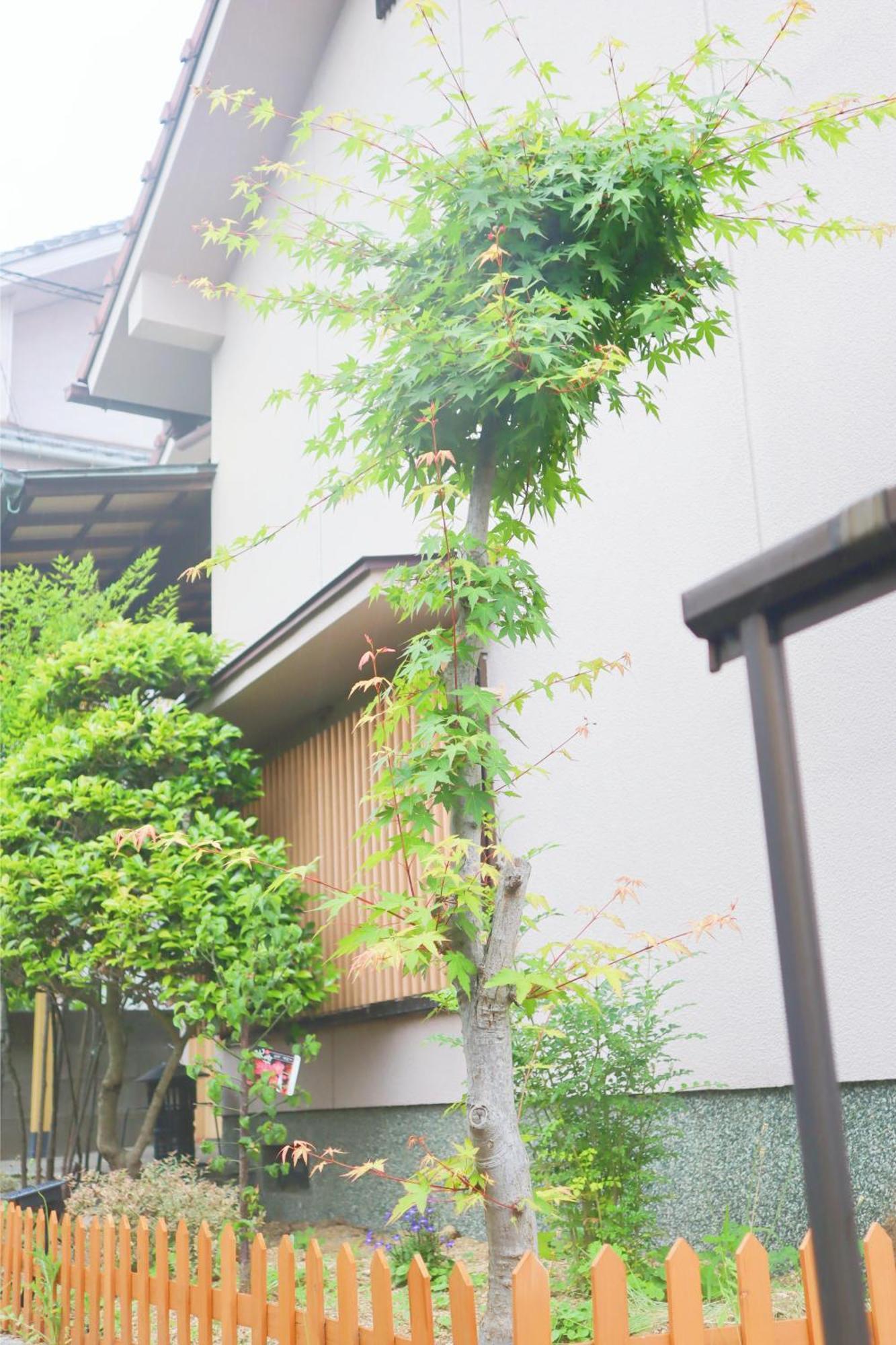 立花荘 Matsuyama (Ehime) Exterior foto